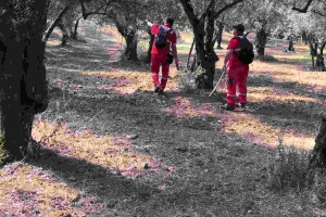 Armutlu İlçemizdeki Kayıp Şahıs Vakasına Katılım Sağladık